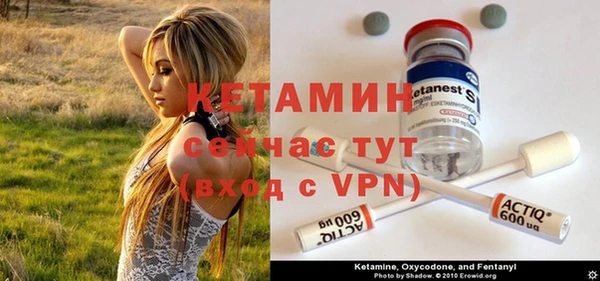 сатива Медногорск