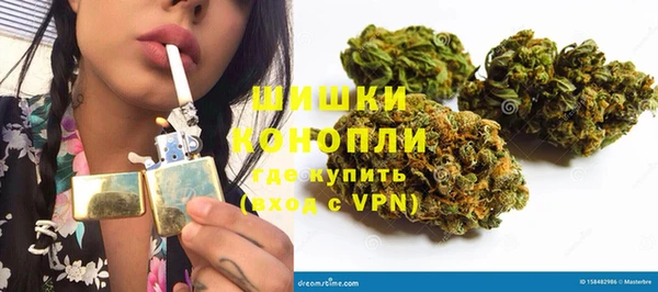 сатива Медногорск
