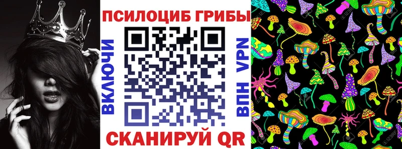 Купить  Кологрив  Псилоцибиновые грибы GOLDEN TEACHER 